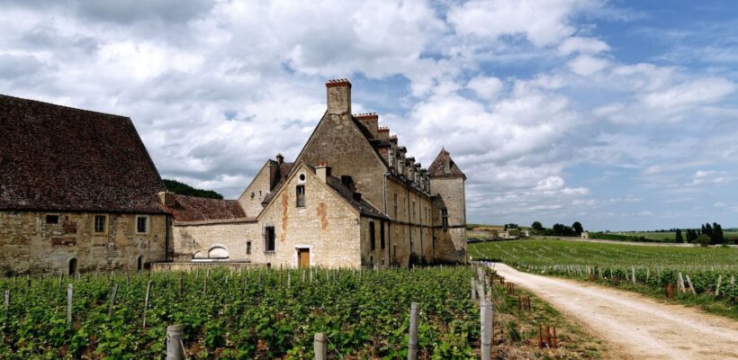 Domaine ancien entouré de vignes et de murets en pierre