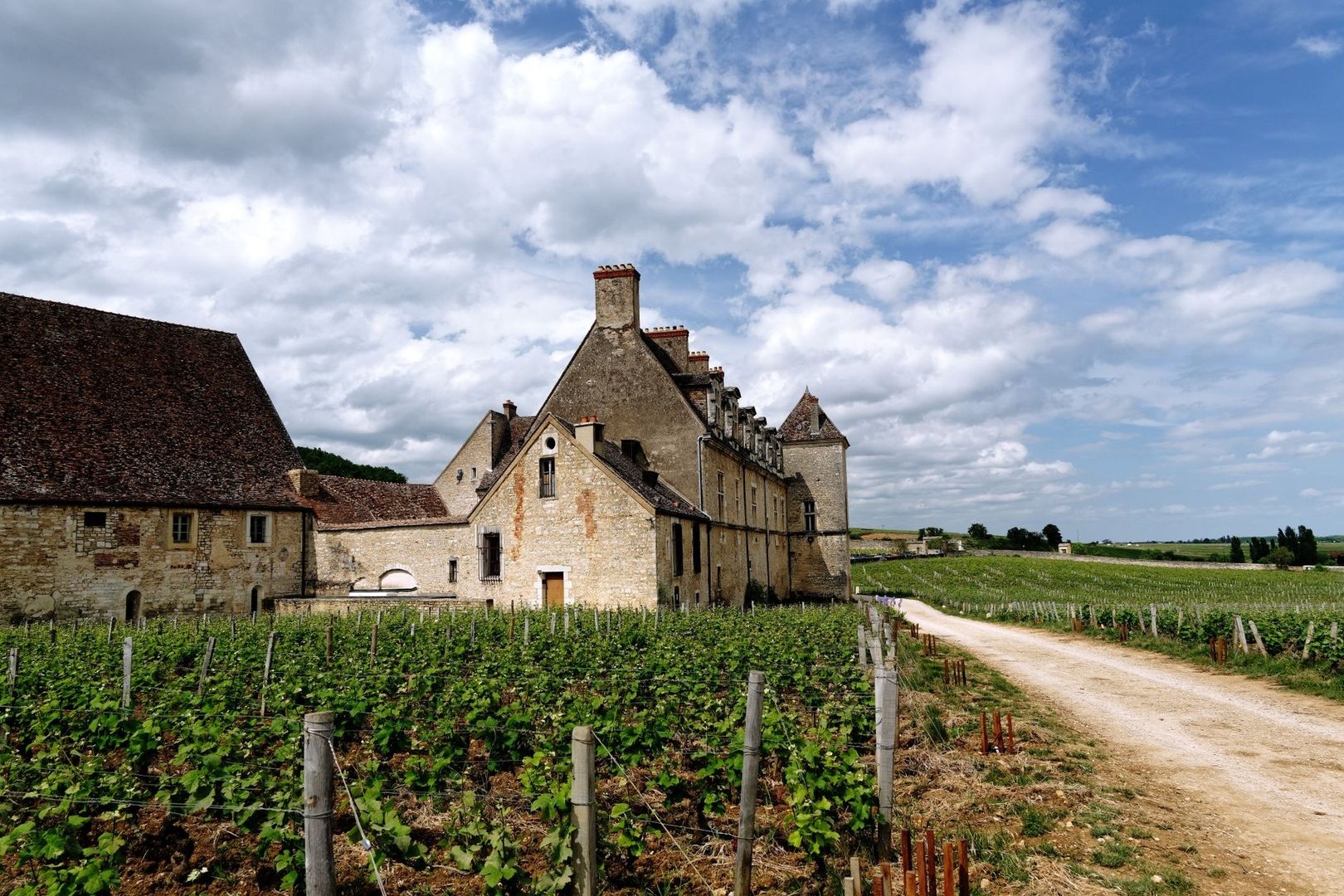 Domaine ancien entouré de vignes et de murets en pierre