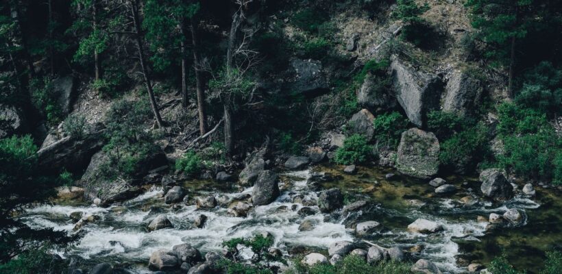 Rivière tumultueuse entre les rochers, au cœur d’une forêt dense