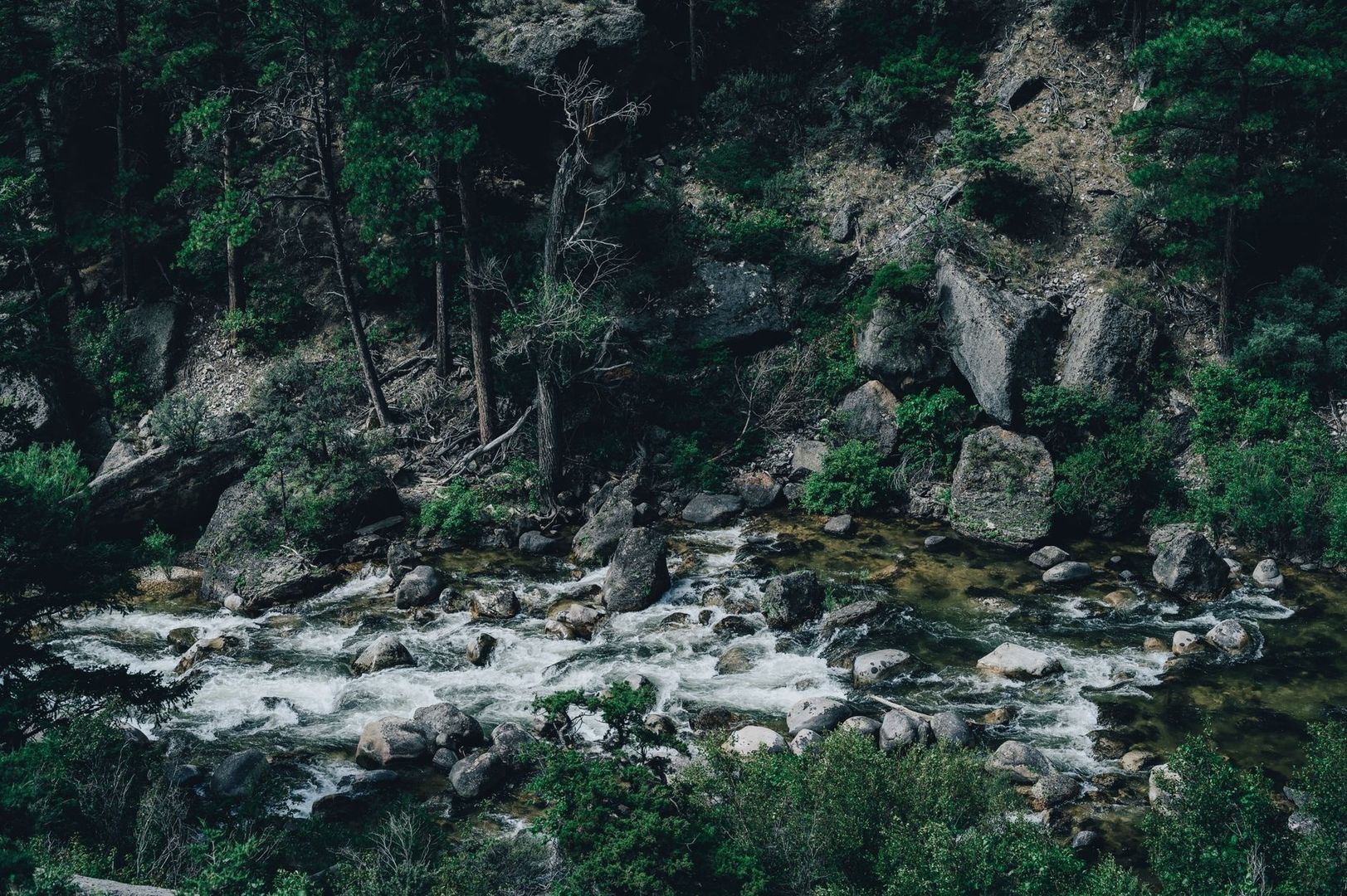 Rivière tumultueuse entre les rochers, au cœur d’une forêt dense